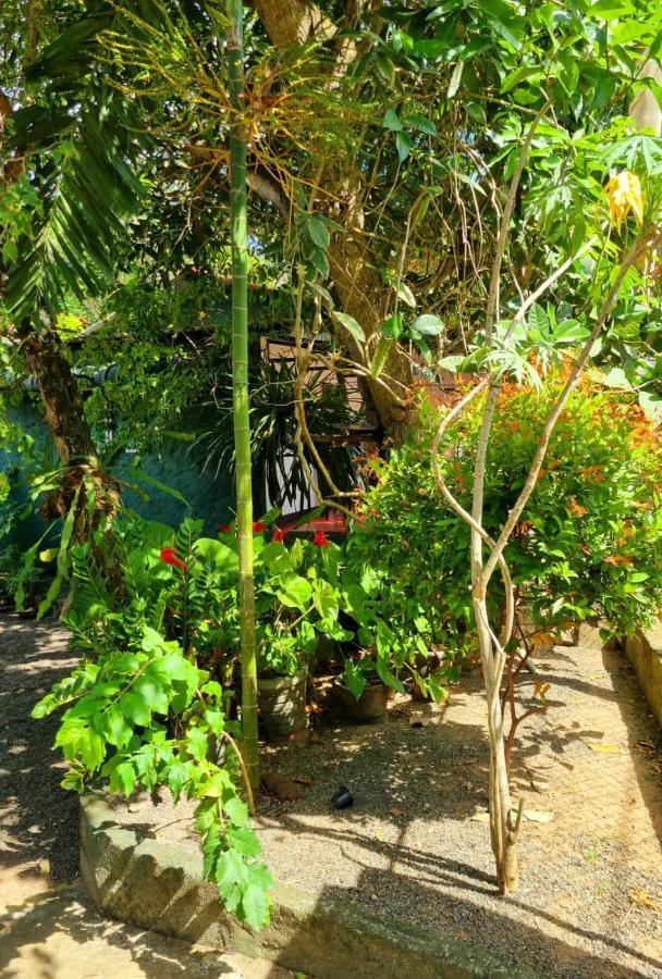 Helena Holiday Cottage Диквела Екстериор снимка