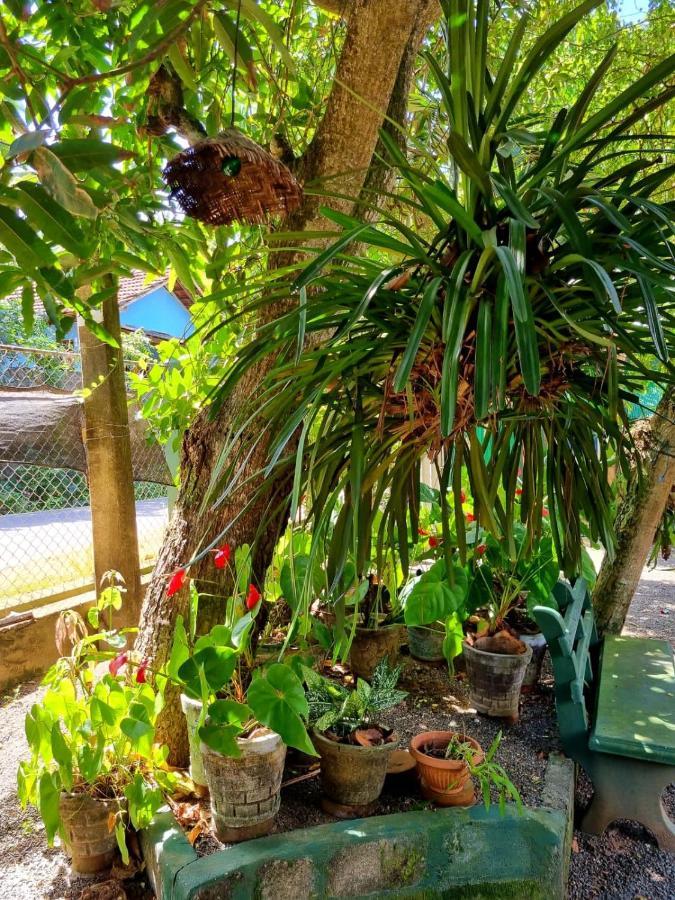 Helena Holiday Cottage Диквела Екстериор снимка