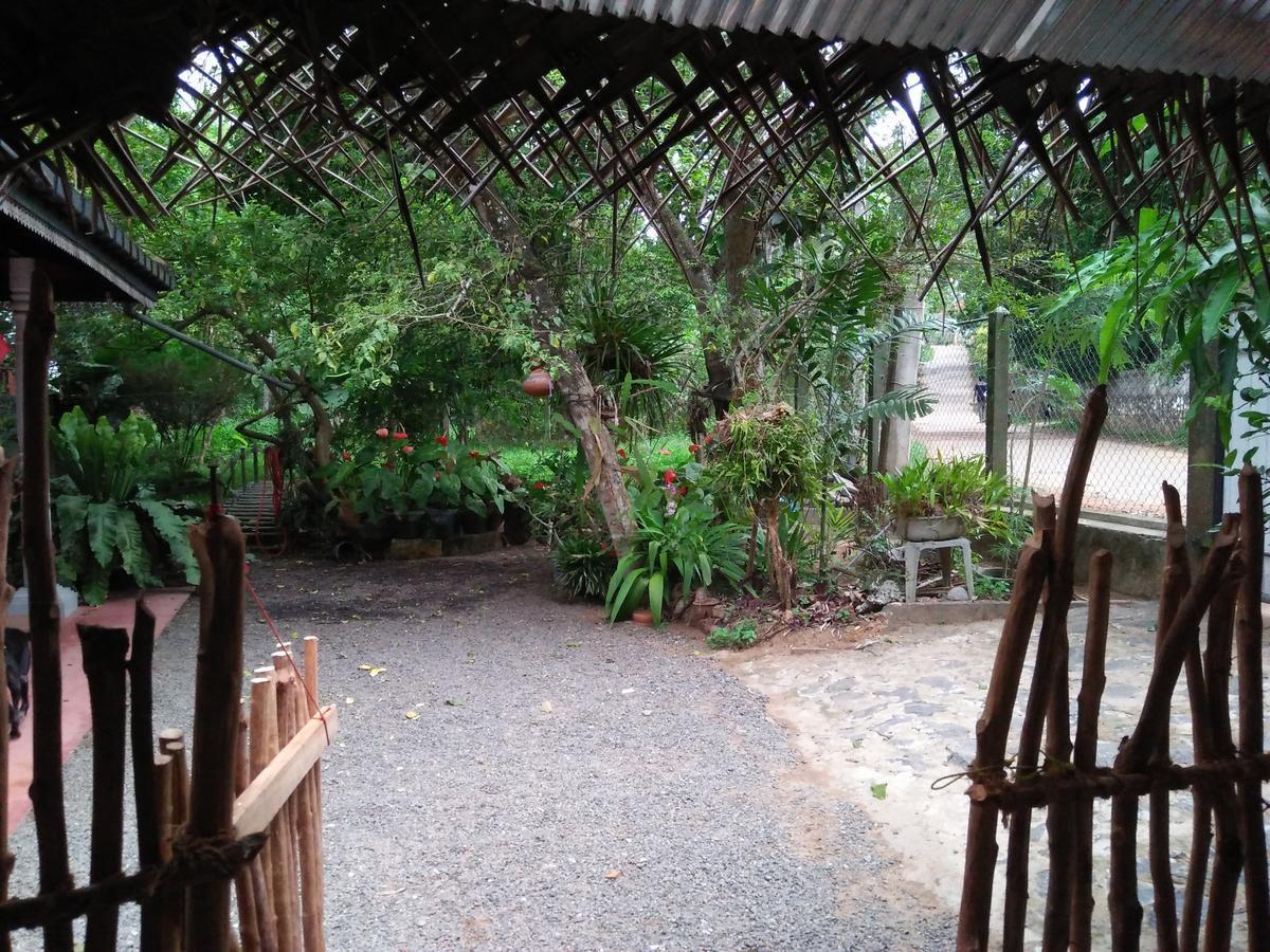 Helena Holiday Cottage Диквела Екстериор снимка